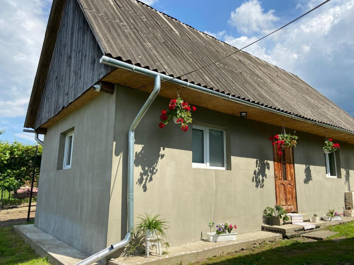 Біля Саду Volóc Kültér fotó